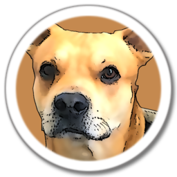 The package icon